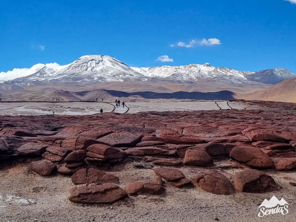 ATACAMA – PIEDRAS ROJAS Y LAGUNAS ALTIPLÁNICAS