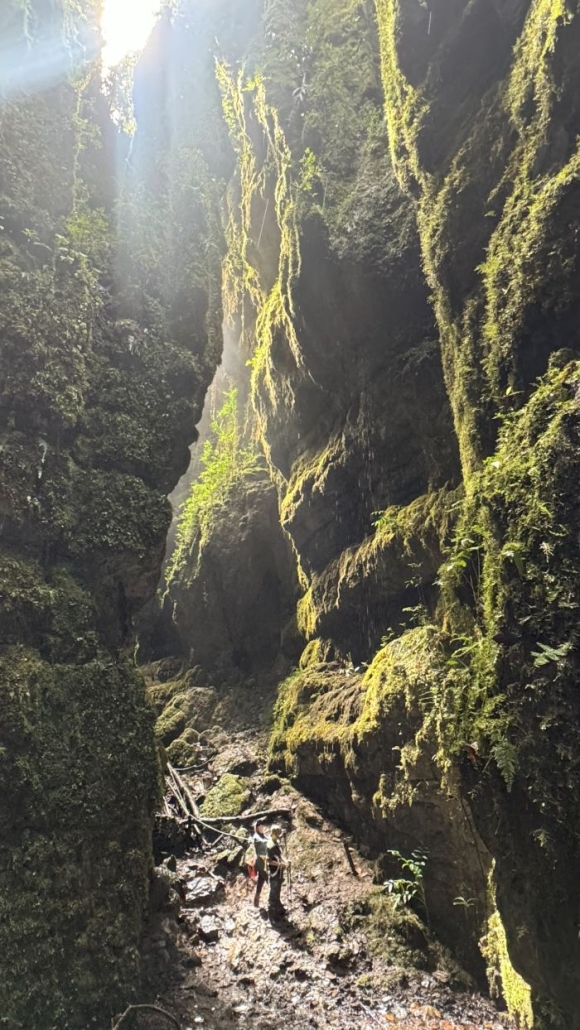 Bosques de Pandora  y Cueva del Oro
