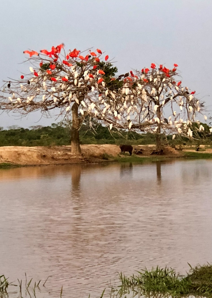 Reserva Natural el Hato de la Aurora 