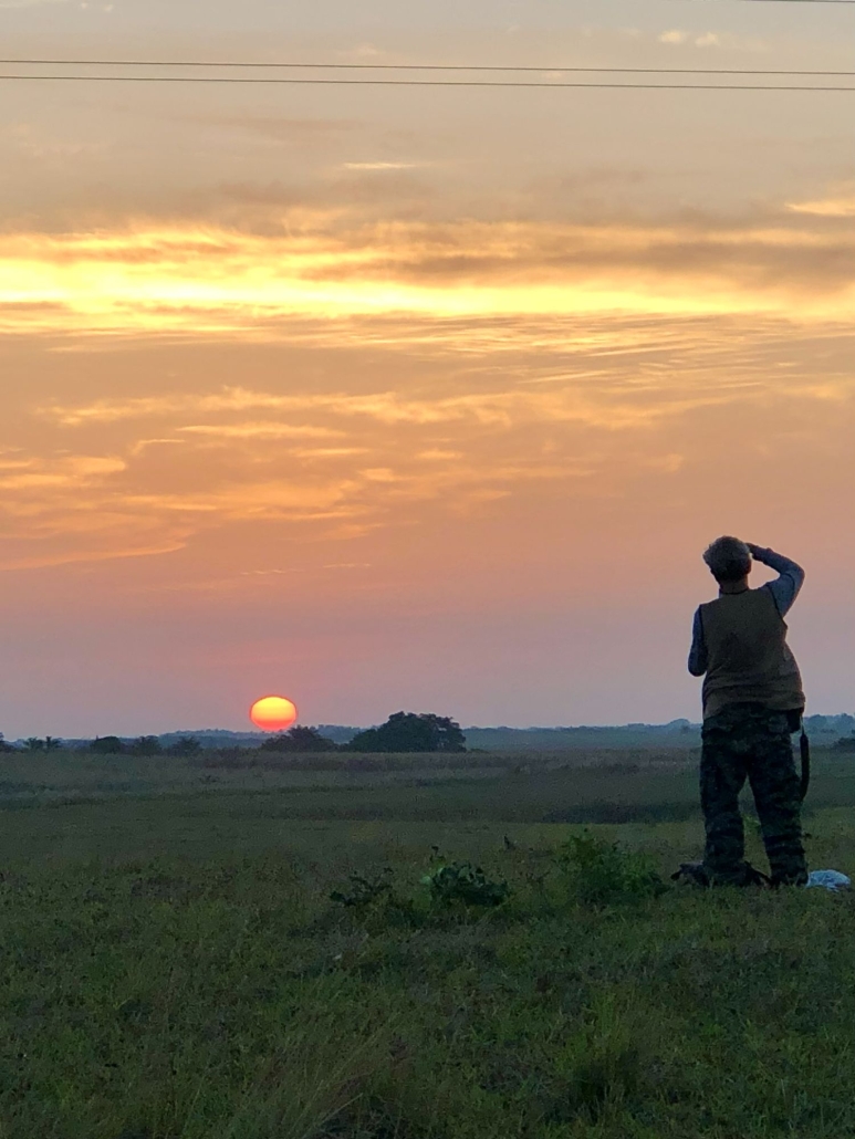 AMANECER Y REGRESO A CASA 