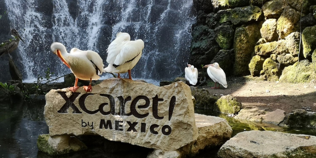 Todo el esplendor de Xcaret