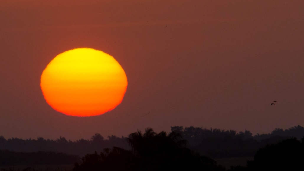 Amanecer Llanero y Regreso